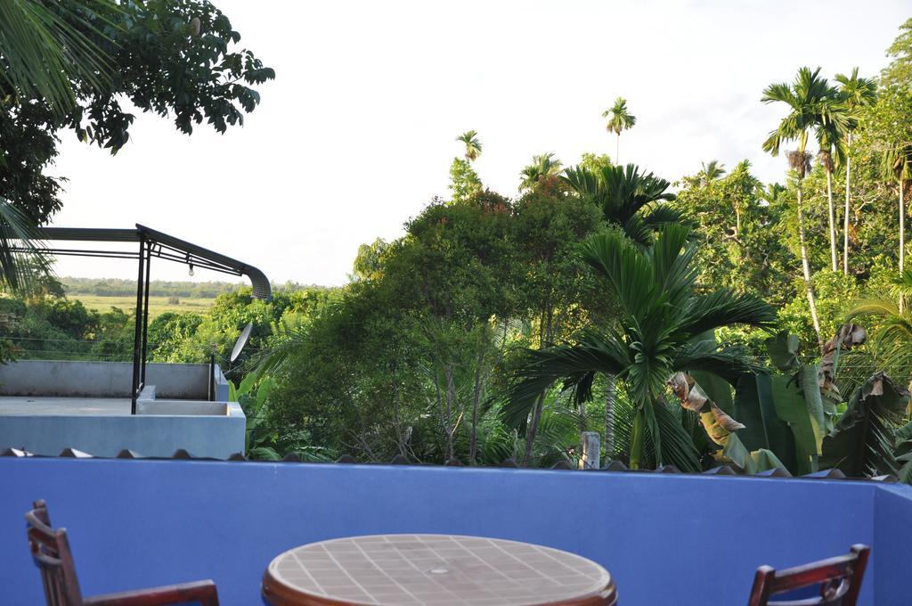 Bed and Breakfast The Fence Bentota Exteriér fotografie