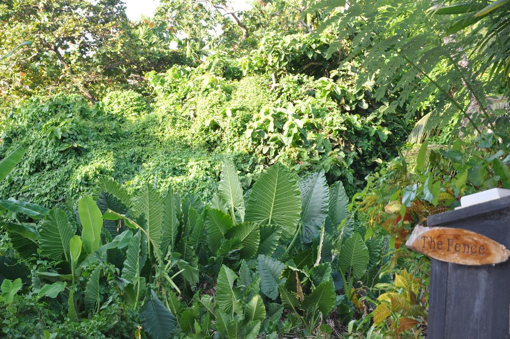 Bed and Breakfast The Fence Bentota Exteriér fotografie